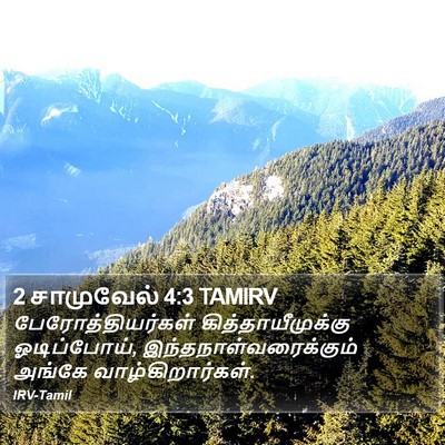 2 சாமுவேல் 4:3 TAMIRV Bible Verse Image