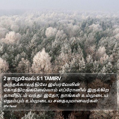 2 சாமுவேல் 5:1 TAMIRV Bible Verse Image