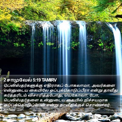 2 சாமுவேல் 5:19 TAMIRV Bible Verse Image