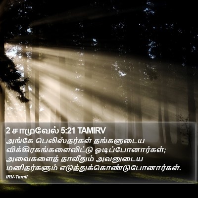 2 சாமுவேல் 5:21 TAMIRV Bible Verse Image