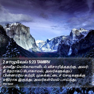 2 சாமுவேல் 5:23 TAMIRV Bible Verse Image