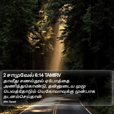 2 சாமுவேல் 6:14 TAMIRV Bible Verse Image