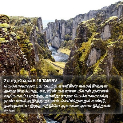 2 சாமுவேல் 6:16 TAMIRV Bible Verse Image