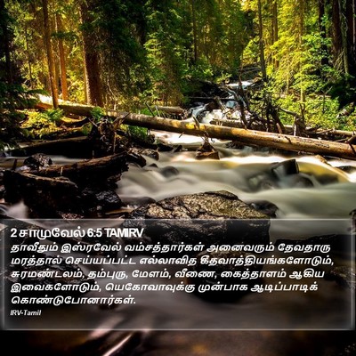 2 சாமுவேல் 6:5 TAMIRV Bible Verse Image