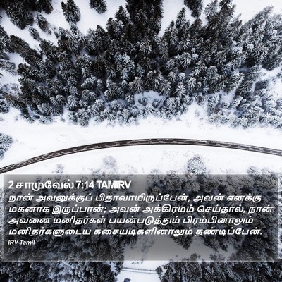 2 சாமுவேல் 7:14 TAMIRV Bible Verse Image
