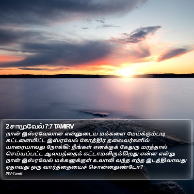 2 சாமுவேல் 7:7 TAMIRV Bible Verse Image