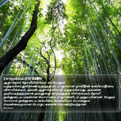 2 சாமுவேல் 8:10 TAMIRV Bible Verse Image