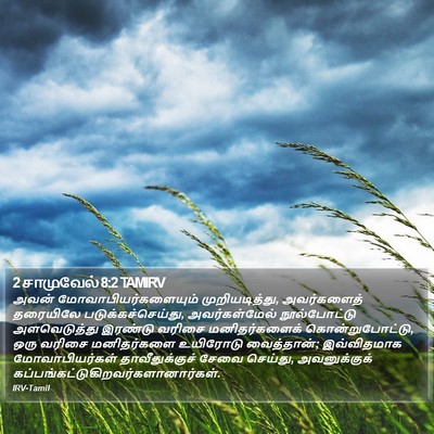2 சாமுவேல் 8:2 TAMIRV Bible Verse Image