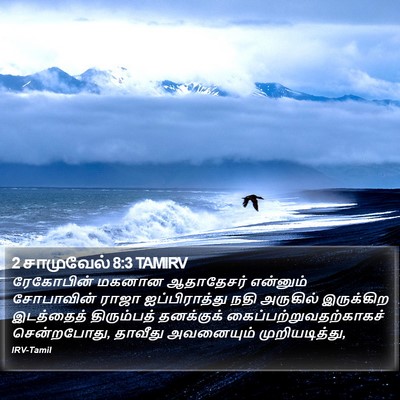2 சாமுவேல் 8:3 TAMIRV Bible Verse Image