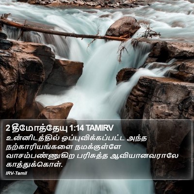 2 தீமோத்தேயு 1:14 TAMIRV Bible Verse Image