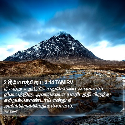 2 தீமோத்தேயு 3:14 TAMIRV Bible Verse Image