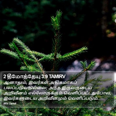 2 தீமோத்தேயு 3:9 TAMIRV Bible Verse Image