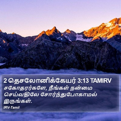 2 தெசலோனிக்கேயர் 3:13 TAMIRV Bible Verse Image