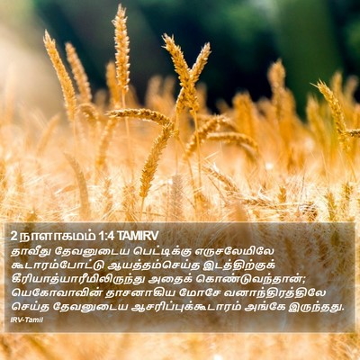 2 நாளாகமம் 1:4 TAMIRV Bible Verse Image