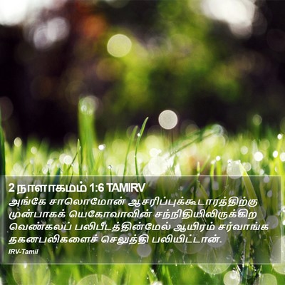 2 நாளாகமம் 1:6 TAMIRV Bible Verse Image