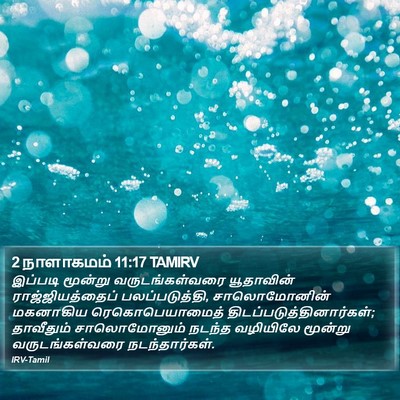 2 நாளாகமம் 11:17 TAMIRV Bible Verse Image