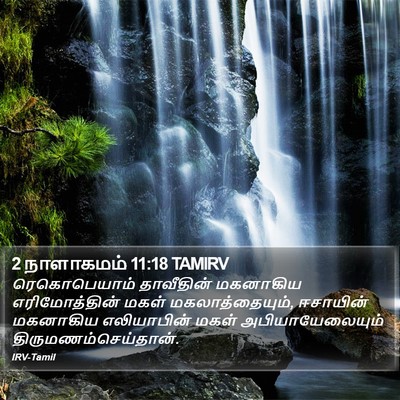 2 நாளாகமம் 11:18 TAMIRV Bible Verse Image