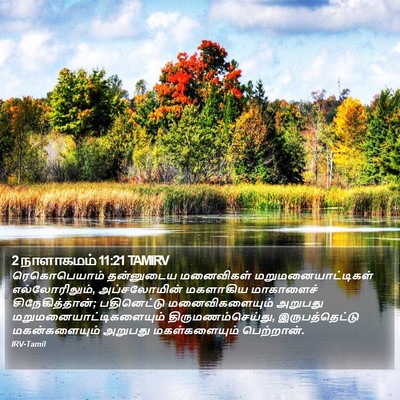 2 நாளாகமம் 11:21 TAMIRV Bible Verse Image