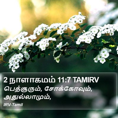 2 நாளாகமம் 11:7 TAMIRV Bible Verse Image