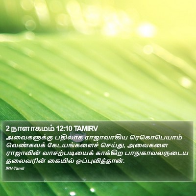 2 நாளாகமம் 12:10 TAMIRV Bible Verse Image