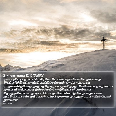 2 நாளாகமம் 12:13 TAMIRV Bible Verse Image