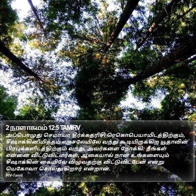 2 நாளாகமம் 12:5 TAMIRV Bible Verse Image