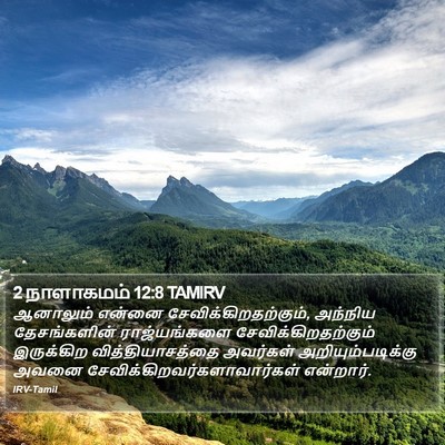 2 நாளாகமம் 12:8 TAMIRV Bible Verse Image