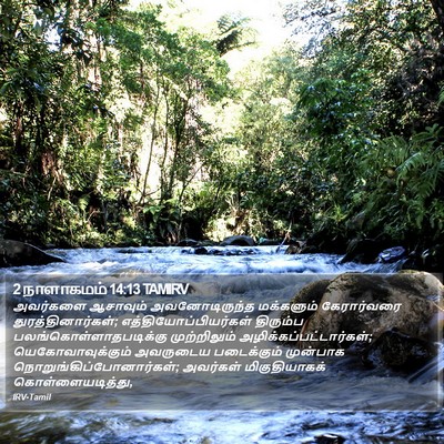 2 நாளாகமம் 14:13 TAMIRV Bible Verse Image