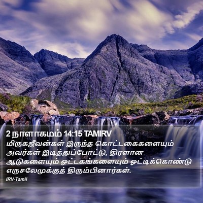 2 நாளாகமம் 14:15 TAMIRV Bible Verse Image