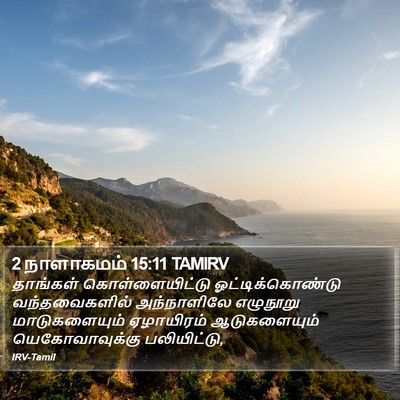2 நாளாகமம் 15:11 TAMIRV Bible Verse Image