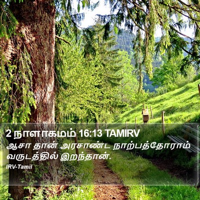 2 நாளாகமம் 16:13 TAMIRV Bible Verse Image