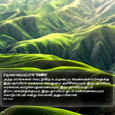 2 நாளாகமம் 2:10 TAMIRV Bible Verse Image