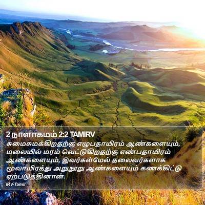 2 நாளாகமம் 2:2 TAMIRV Bible Verse Image