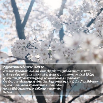 2 நாளாகமம் 20:12 TAMIRV Bible Verse Image