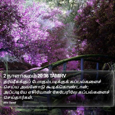 2 நாளாகமம் 20:36 TAMIRV Bible Verse Image