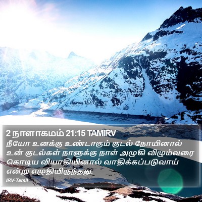 2 நாளாகமம் 21:15 TAMIRV Bible Verse Image