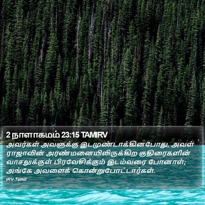2 நாளாகமம் 23:15 TAMIRV Bible Verse Image