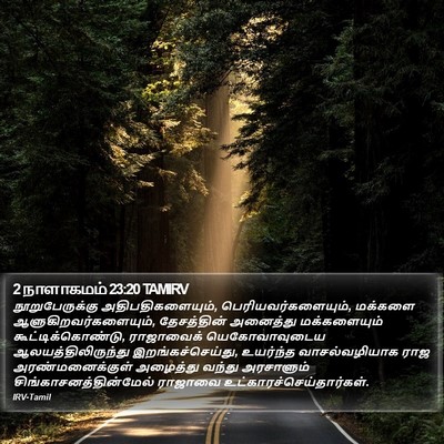 2 நாளாகமம் 23:20 TAMIRV Bible Verse Image