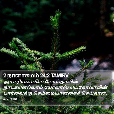 2 நாளாகமம் 24:2 TAMIRV Bible Verse Image