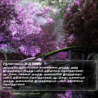 2 நாளாகமம் 29:22 TAMIRV Bible Verse Image