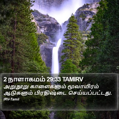 2 நாளாகமம் 29:33 TAMIRV Bible Verse Image