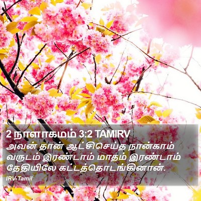 2 நாளாகமம் 3:2 TAMIRV Bible Verse Image