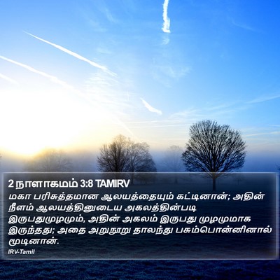 2 நாளாகமம் 3:8 TAMIRV Bible Verse Image