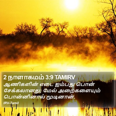 2 நாளாகமம் 3:9 TAMIRV Bible Verse Image