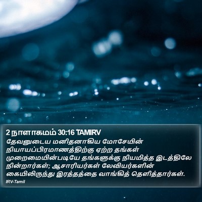 2 நாளாகமம் 30:16 TAMIRV Bible Verse Image