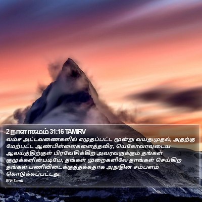 2 நாளாகமம் 31:16 TAMIRV Bible Verse Image