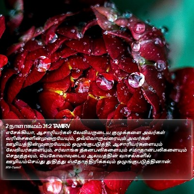 2 நாளாகமம் 31:2 TAMIRV Bible Verse Image
