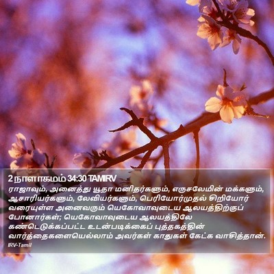 2 நாளாகமம் 34:30 TAMIRV Bible Verse Image