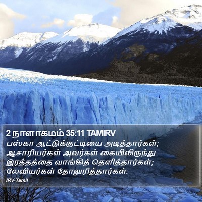 2 நாளாகமம் 35:11 TAMIRV Bible Verse Image