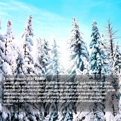 2 நாளாகமம் 35:21 TAMIRV Bible Verse Image